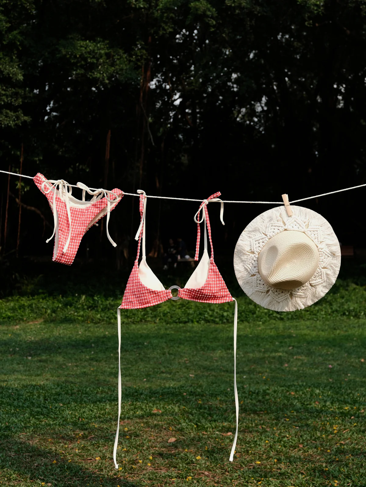 Seamolly Bikini-Set mit Kontrastfarben-Gingham-Muster, O-Ring und doppelter Lage